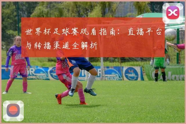 世界杯足球赛观看指南:直播平台与转播渠道全解析
