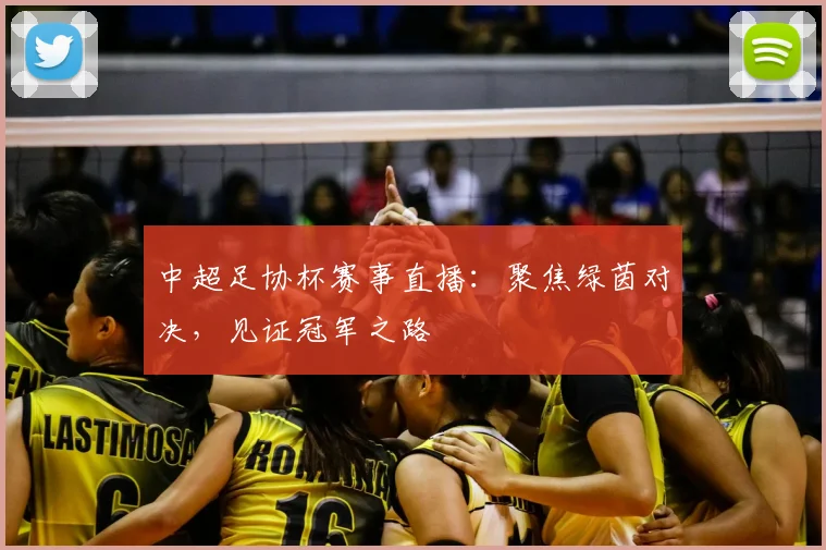 中超足协杯赛事直播：聚焦绿茵对决，见证冠军之路